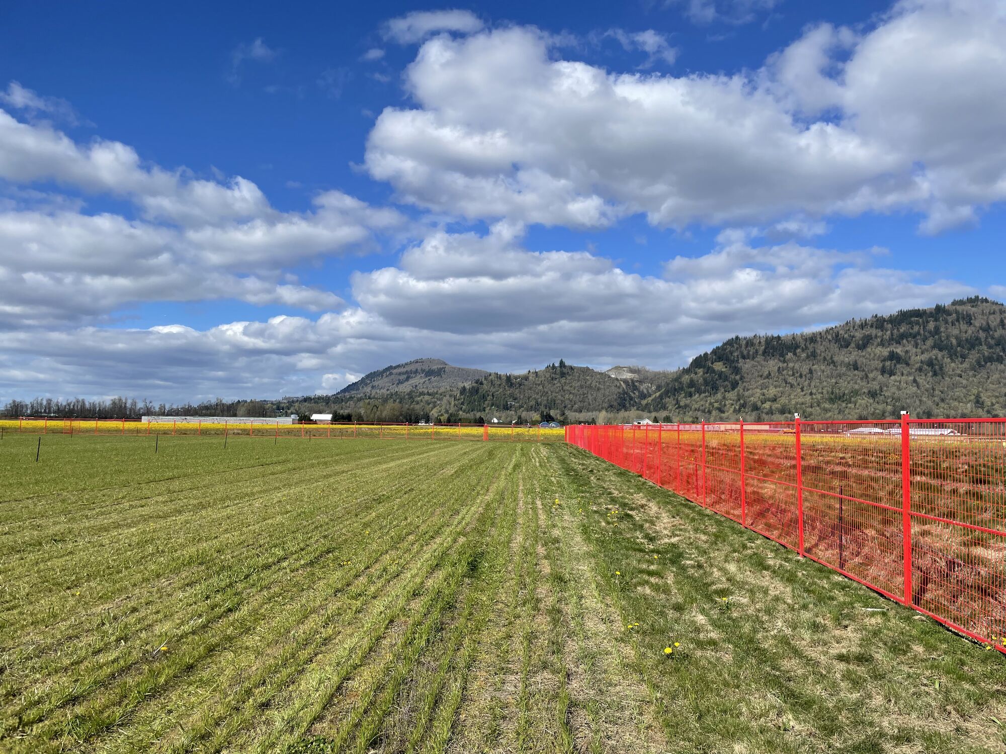 Temporary Fence